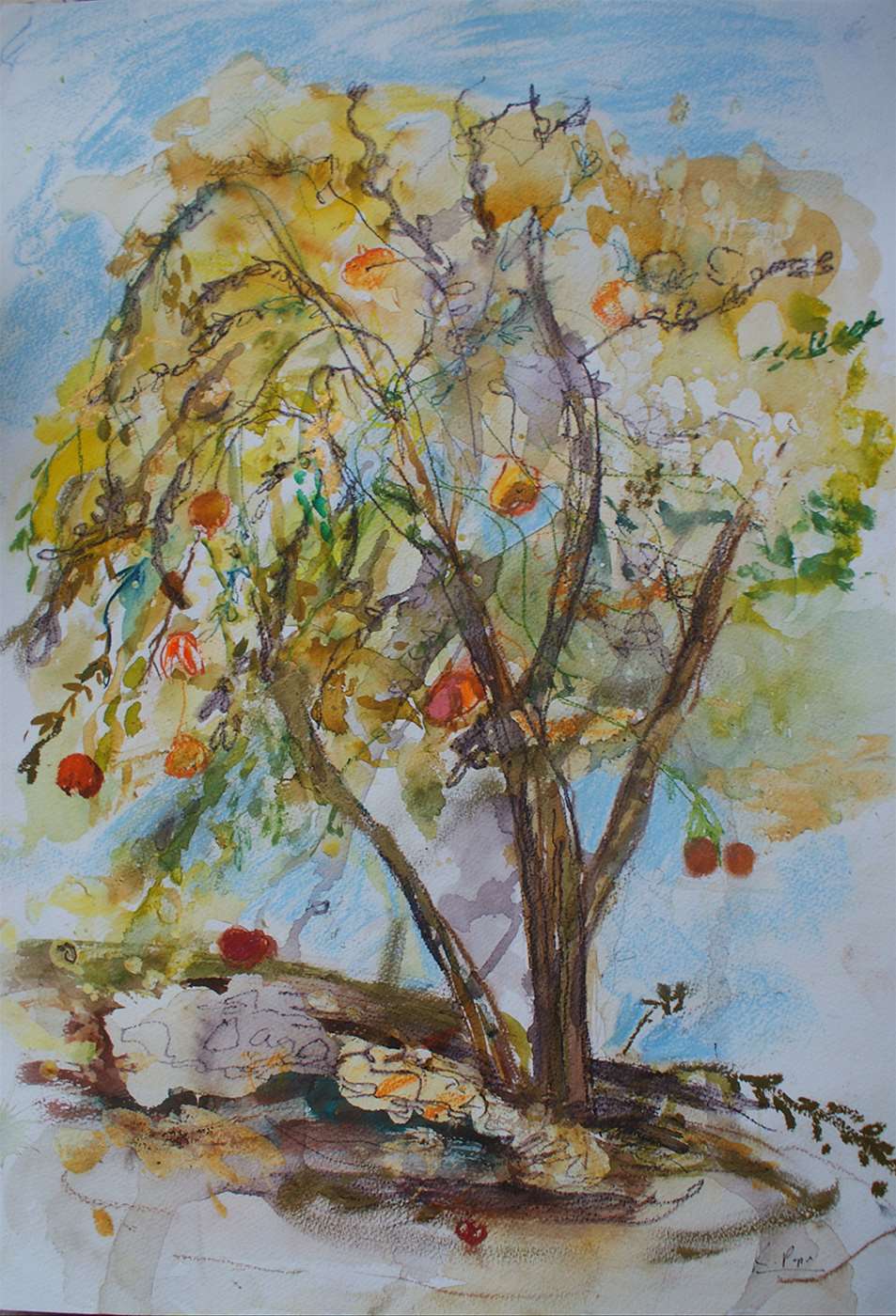 Sicilian Fruit Tree in Autumn